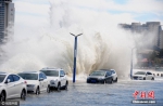 山东烟台遭遇大浪 岸边停靠车辆被淹 - 江苏音符