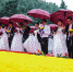 全国烈士纪念日：江苏95对新婚夫妇向雨花英烈献花 - 江苏音符