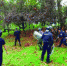 警方在公园里围捕棕熊 - 新浪江苏