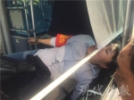 南京一公交司机开车途中突发病 瘫倒前紧急停车 - 新浪江苏