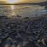 美国加州最大湖泊环境恶化 死鱼堆满岸边 - 江苏音符