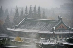 南京初雪如约而至 今晨的南京变了模样 - 江苏音符