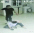 男子殴打医生同伴全程拍摄，两人双双获刑（图） - 新浪江苏