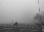 昨天，大雾笼罩下的盐城 现代快报/ZAKER南京记者 姜振军 摄 - 新浪江苏