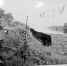 驾驶员徐某指认装运废酸的江都宜陵码头 本版图片均由通讯员提供 - 新浪江苏