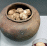 南京博物馆展出鸡文物 “西周鸡蛋”引关注 - 江苏音符