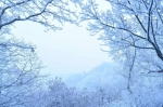 一场雪后的南京紫金山 恍若仙境 - 江苏音符