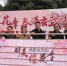 南京：玄武湖樱花节3月10日开幕 - 旅游局