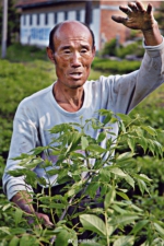 他半生伐木心存愧疚 30年植树18万株 - 江苏音符