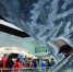 南通：洋口港抹香鲸展览馆开馆 - 旅游局