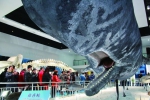 南通：洋口港抹香鲸展览馆开馆 - 旅游局