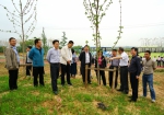 省林业局召开苏南片绿化与“三化”结合现场推进会 - 林业局
