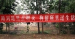 江苏禁烧秸秆十八年，被改变的不只是空气，还有他们…… - 新华报业网