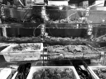 探访北京海鲜市场：比螃蟹更横行霸道的是“潜规则” - 江苏音符