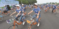 南京共享单车达29万辆 日租借量超过120万人次 - 江苏音符