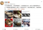 高考题“一条草鱼”引争议 媒体：作者不会可以理解 - 南京市教育局