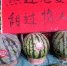 江苏西瓜均价高达2.64元 吃瓜群众直呼：太贵 - 新浪江苏