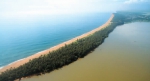 中国新一期海防林建设工程启动 绿色长城守护万里海岸 - 江苏音符