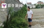 30亩墓园建村民家门口被指违建 管委会：没接到报批 - 新浪江苏