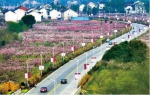 被国家点名！江苏新增15个全国特色小镇，它们都是工业强镇 - 新华报业网