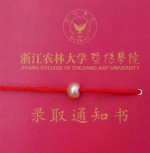 高校发放录取通知书花样翻新 珍珠CD种子啥都有 - 南京市教育局