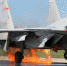 鸽群撞入歼-15发动机起火 飞行员沉着驾机着陆 - 江苏音符
