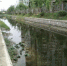 整治后的大司马河中央花苑段，河里清水流动，岸上绿树成荫，护坡植被覆盖，河面水生植物点点。　于从文　摄 - 江苏新闻网