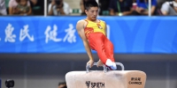 江苏运动员翁浩获得第十三届全运会体操男子鞍马冠军 - 体育局