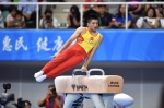江苏运动员翁浩获得第十三届全运会体操男子鞍马冠军 - 体育局