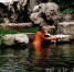 光天化日下，居然有人赤身裸体在河里洗澡，听起来很不可思议，然而这一幕就发生在了南京市阅江楼的河边。 - 新浪江苏