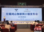 9月9日，无锡鸿山物联网小镇发布会在无锡高新区举行。　孙权　摄 - 江苏新闻网