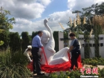 图为徐秀娟纪念园揭幕。　谷华　摄 - 江苏新闻网