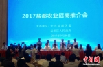2017盐都农业招商推介会现场。 - 江苏新闻网