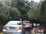 2日，前往南京中山陵园风景区的车辆排起长队。　杨颜慈 摄 - 江苏新闻网