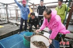 资料图：蟹农驾驶渔船起航捕捞。李骥 摄 - 江苏新闻网