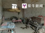 骑三轮游世界的徐州老人车祸身亡 16年骑行17万公里 - 新浪江苏