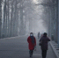 中国7省市将遇大雾天气 局地能见度不足200米 - 妇女联合会