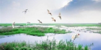 打造美丽中国新样本！江苏创建生态保护引领区为何选在宜兴和武进 - 新华报业网