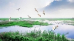 打造美丽中国新样本！江苏创建生态保护引领区为何选在宜兴和武进 - 新华报业网