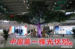 十一科技的光伏树亮相展会。 - 江苏新闻网