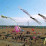 如东第十八届国际风筝会现场。 陈莹 摄 - 江苏新闻网