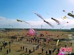 如东第十八届国际风筝会现场。 陈莹 摄 - 江苏新闻网