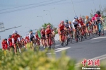 全国各地31支参赛队伍的300余名选手通过高水平的自行车竞技传递绿色出行的环保理念。　魏佳文 摄 - 江苏新闻网