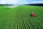 江苏省两办发布实施意见 促进新型农业经营主体发展 - 新华报业网