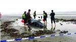 救援人员不停给座头鲸浇水，让它的身体保持湿润通讯员供图 - 新浪江苏