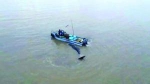 救援人员引导座头鲸“回家” 通讯员供图 - 新浪江苏