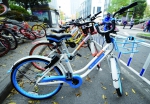 南京共享单车只剩三家正常运营 现代快报/ZAKER南京记者 施向辉 摄 - 新浪江苏