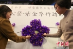 市民拼一个大“紫金草”。　泱波　摄 - 江苏新闻网