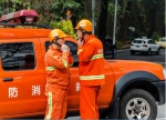 紫金山护林防火活动被网友热传，24小时监测火情 - 消防总队