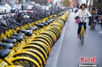 资料图：11月23日，山西太原，民众正在使用共享单车。中新社记者 张云 摄 - 妇女联合会